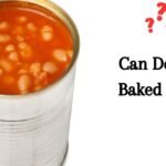 Can Dogs Eat Baked Beans